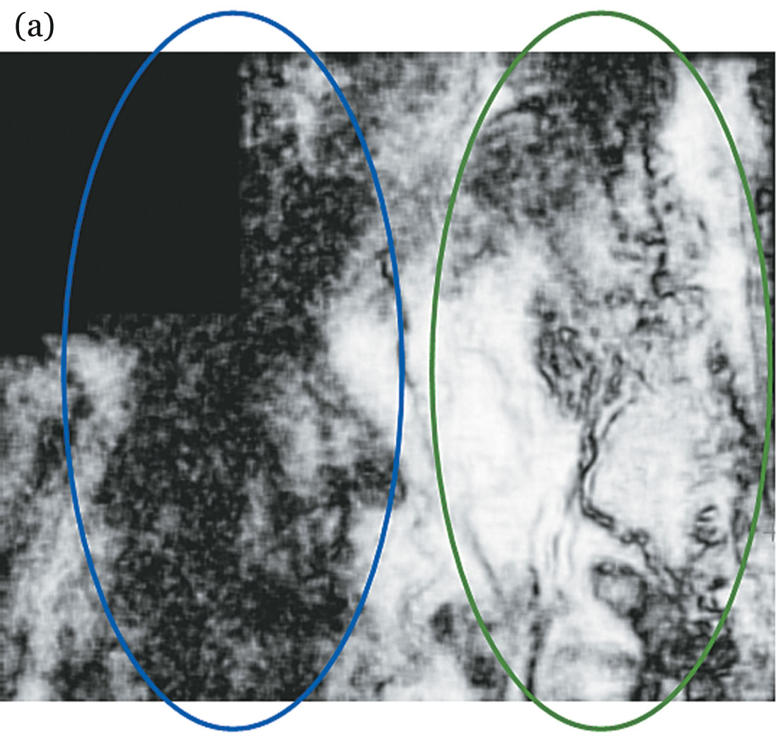 Fig. 07a
