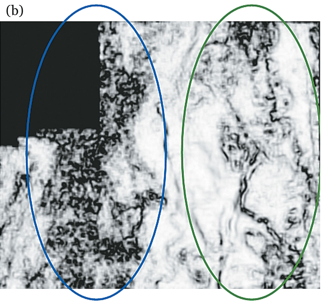 Fig. 07b
