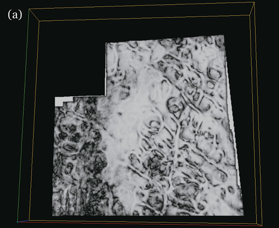 Fig. 09a