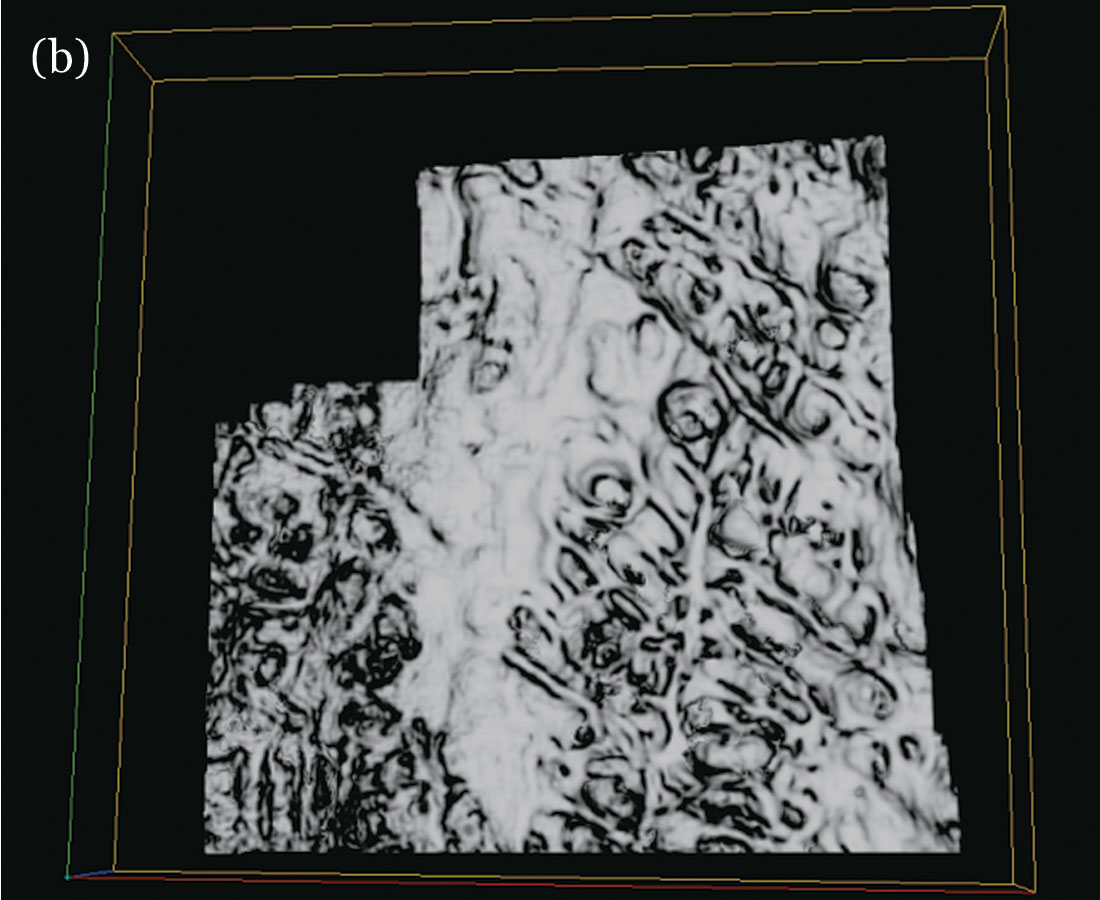 Fig. 09b