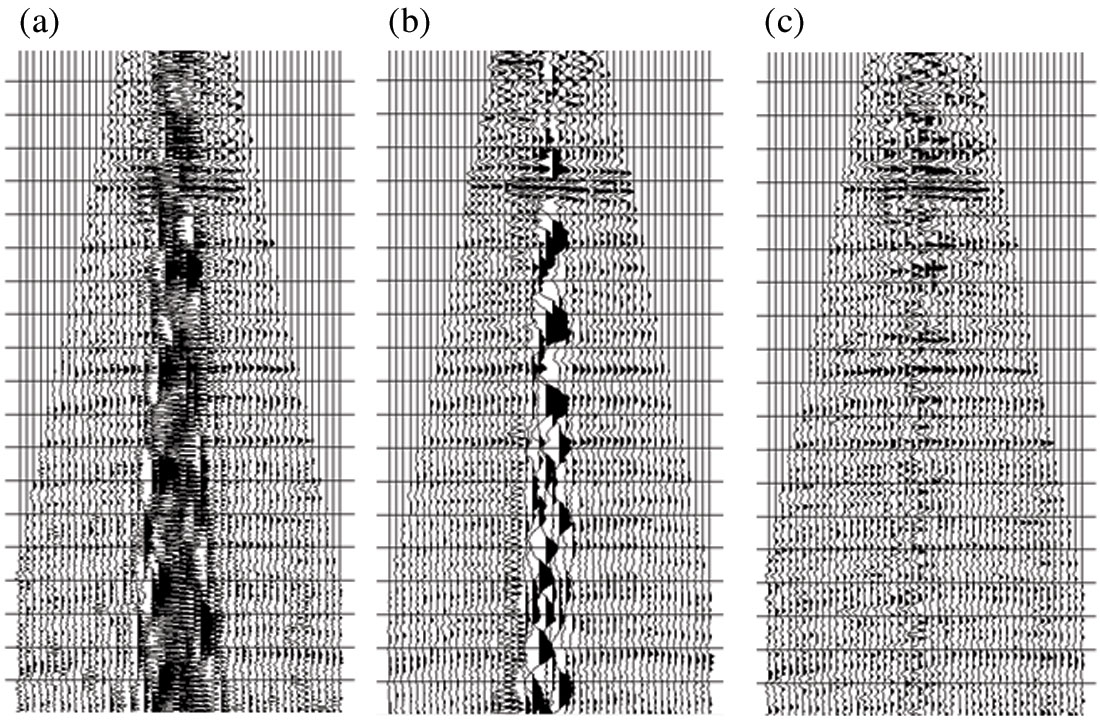 Fig. 01