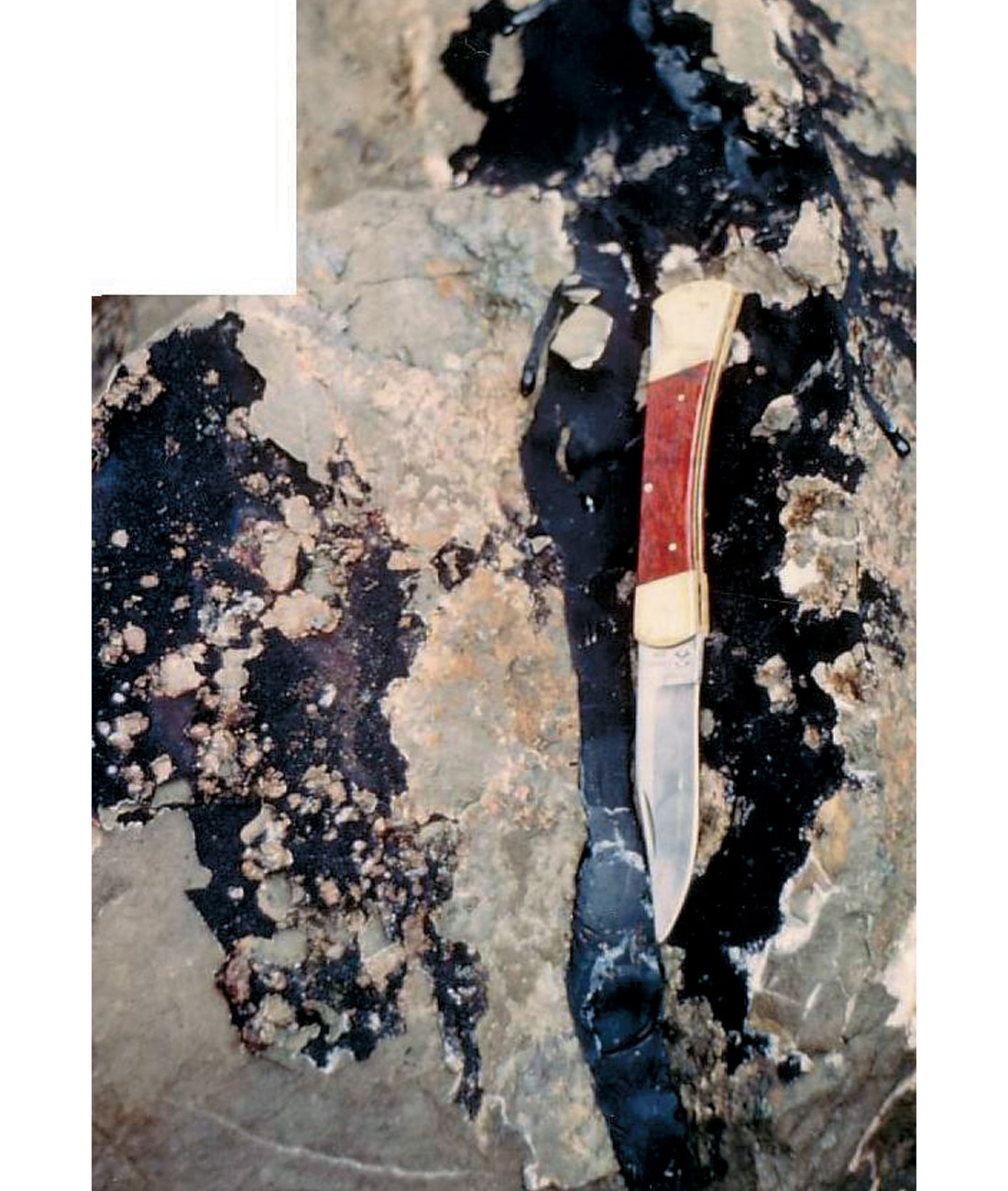 Fig. 02