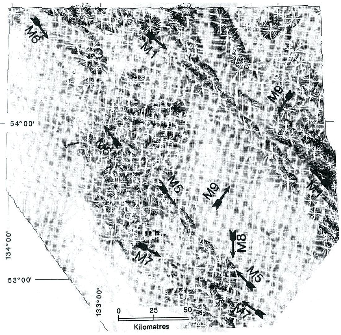 Fig. 11