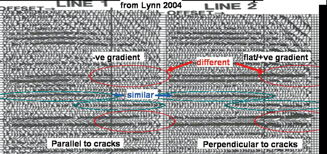 Fig. 01