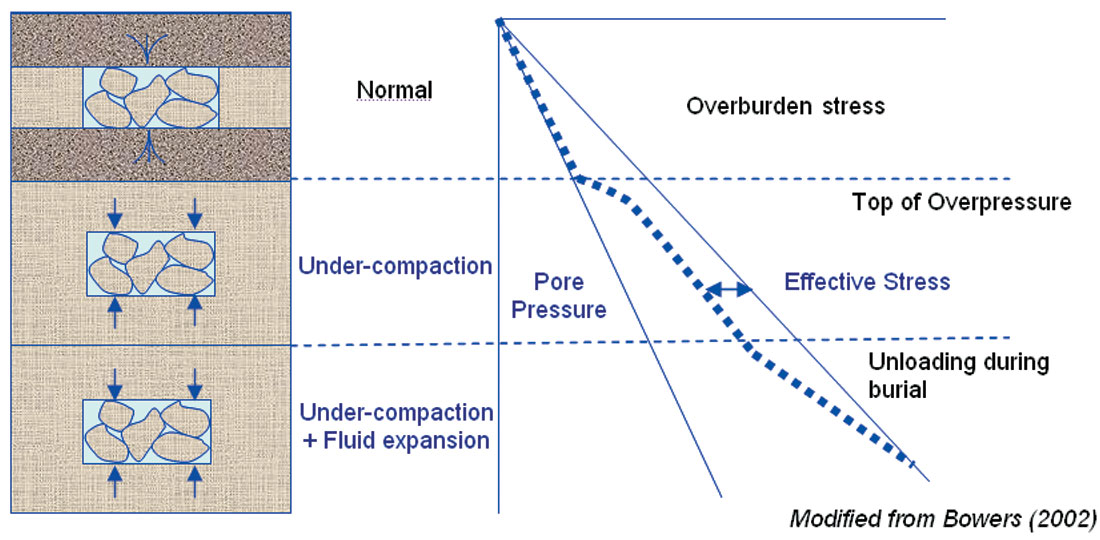 Fig. 01