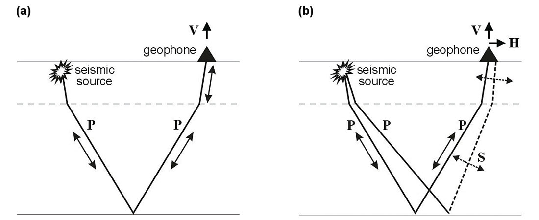Fig. 01