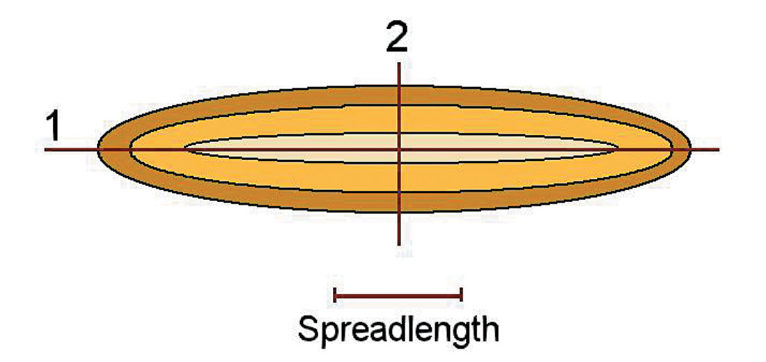 Fig. 09