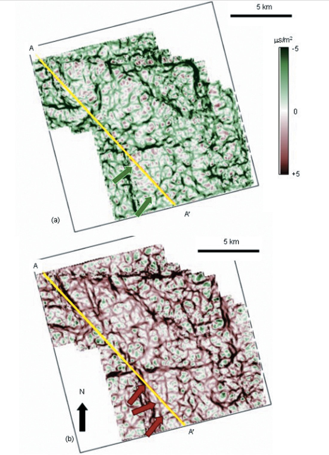 Fig. 12