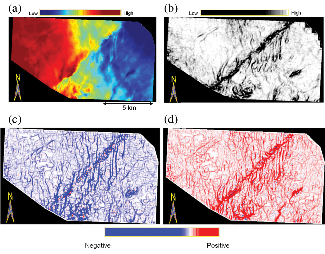 Fig. 12
