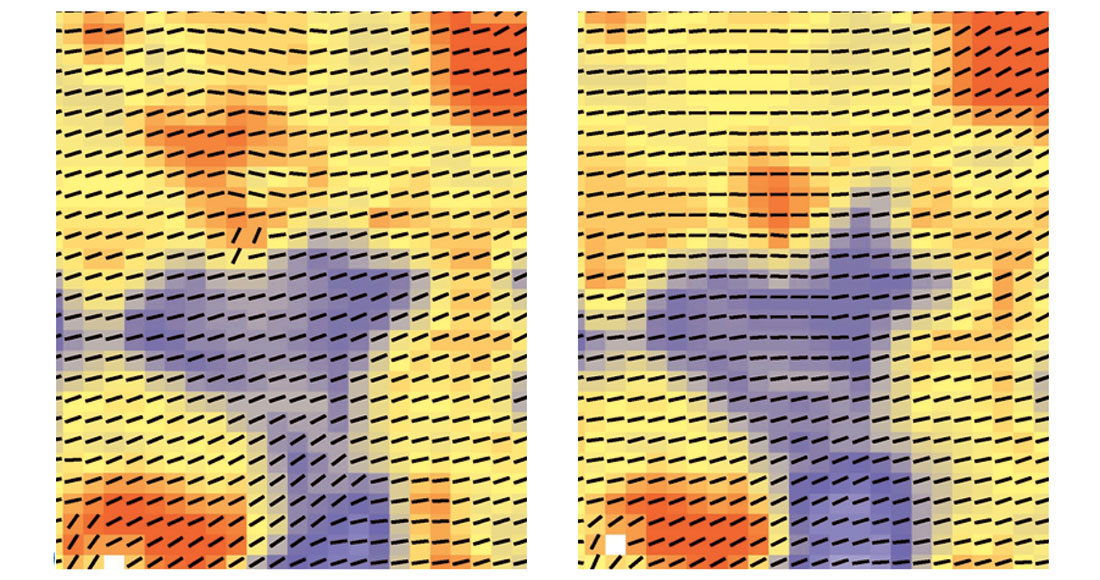 Fig. 10