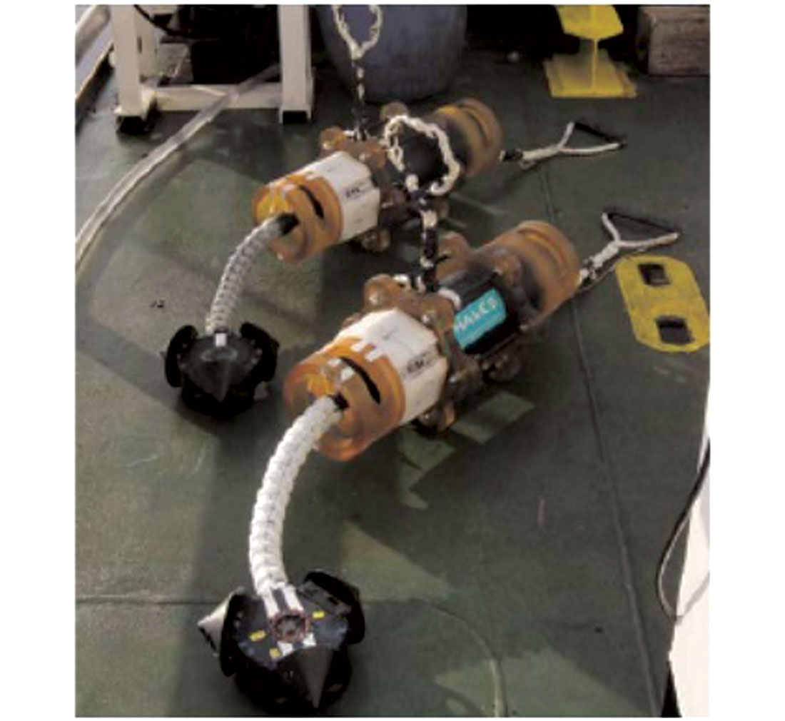 Fig. 10