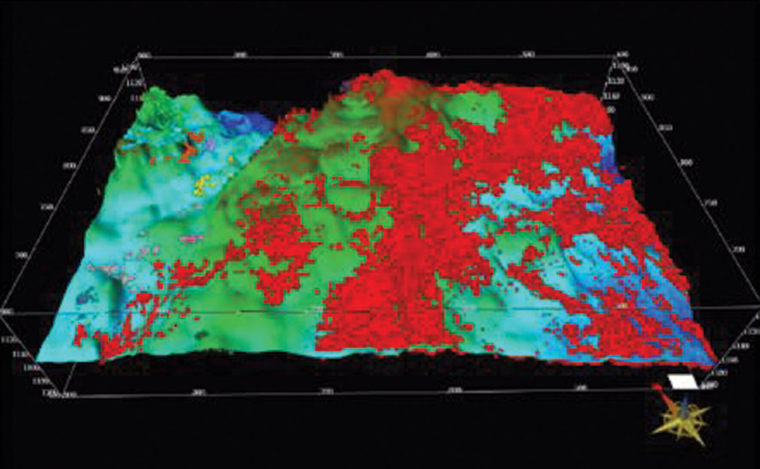 Fig. 11