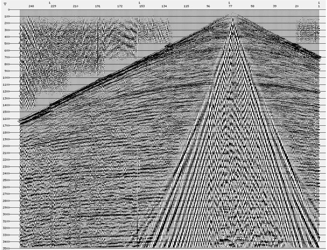Fig. 07