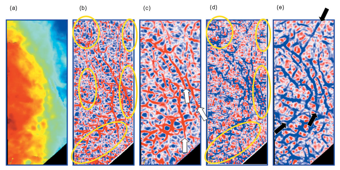 Fig. 02