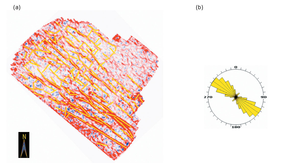 Fig. 06