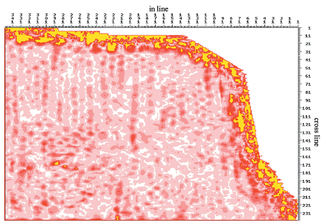 Fig. 06