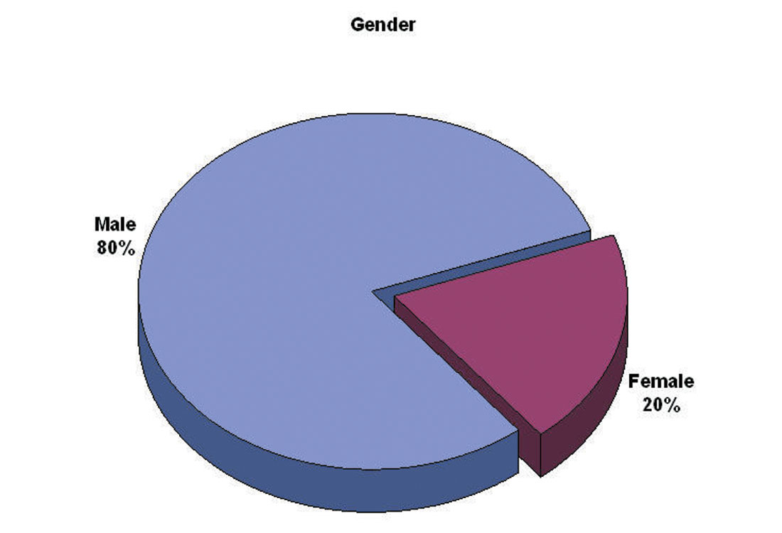 Fig. 04