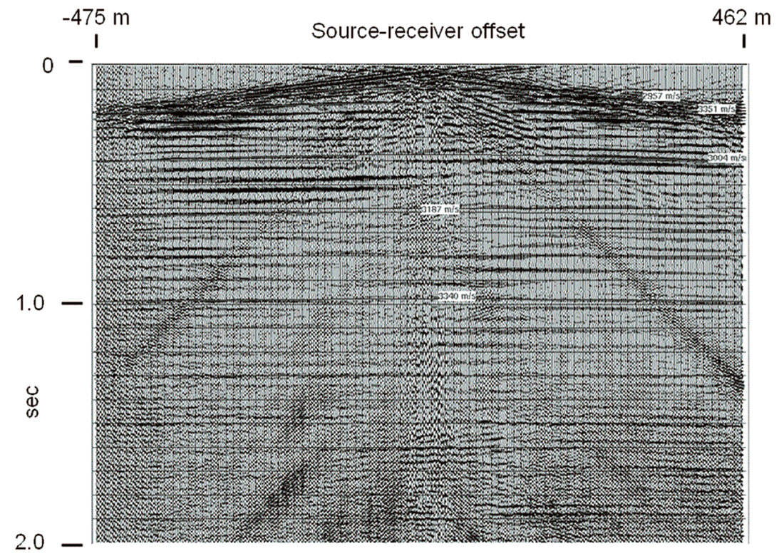 Fig. 10