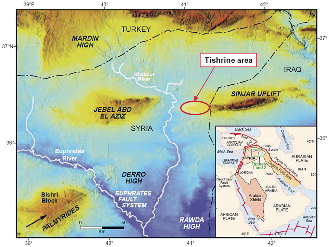 Fig. 01