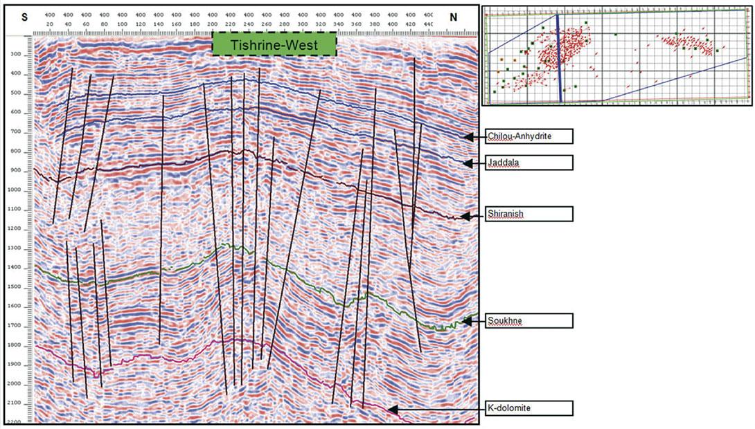 Fig. 07