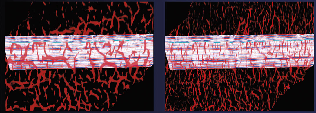 Fig. 04