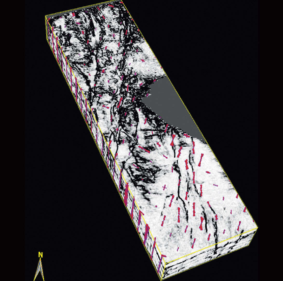 Fig. 12