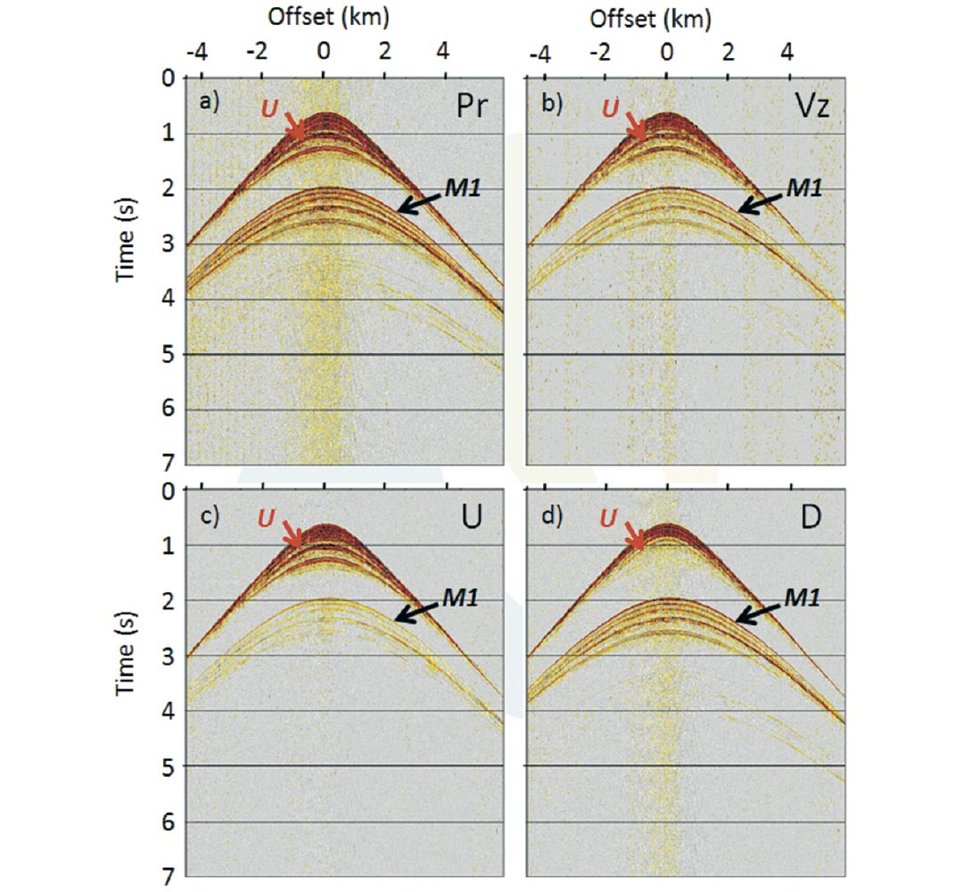 Fig. 10