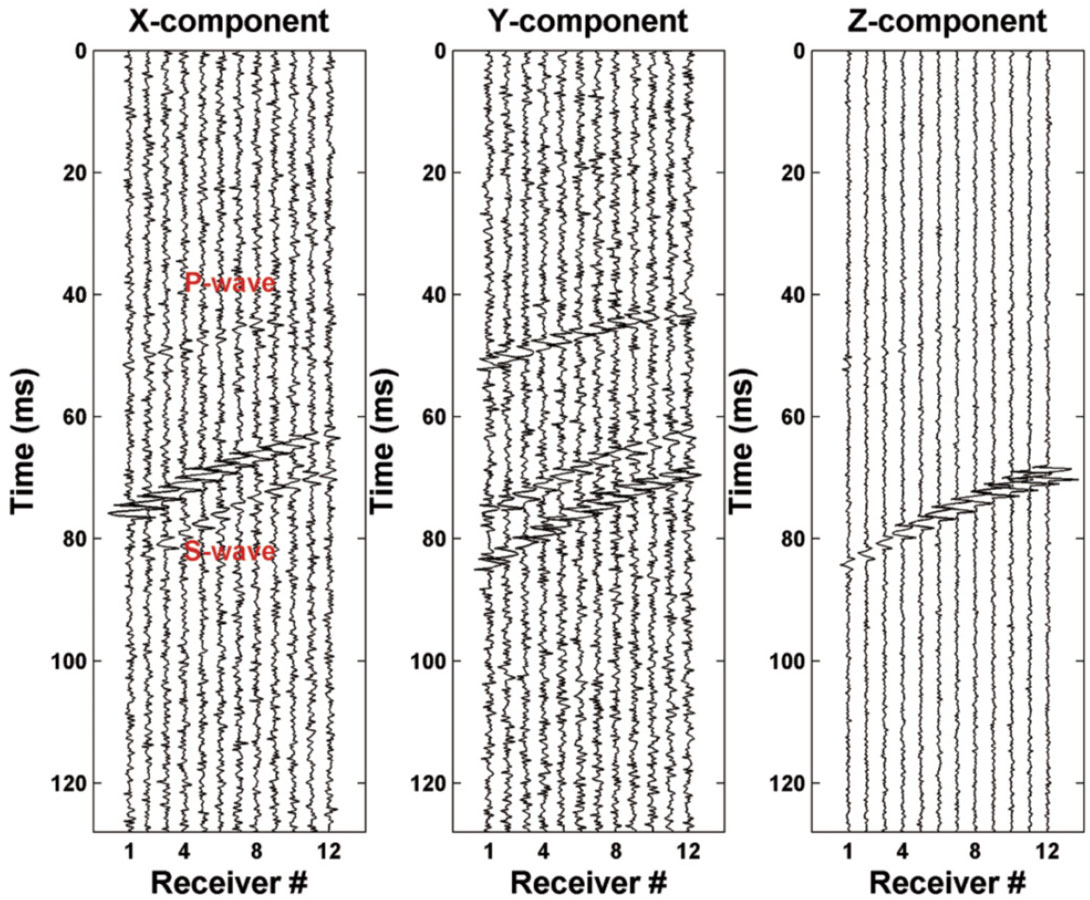 Fig. 07