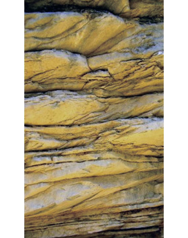 Fig. 02
