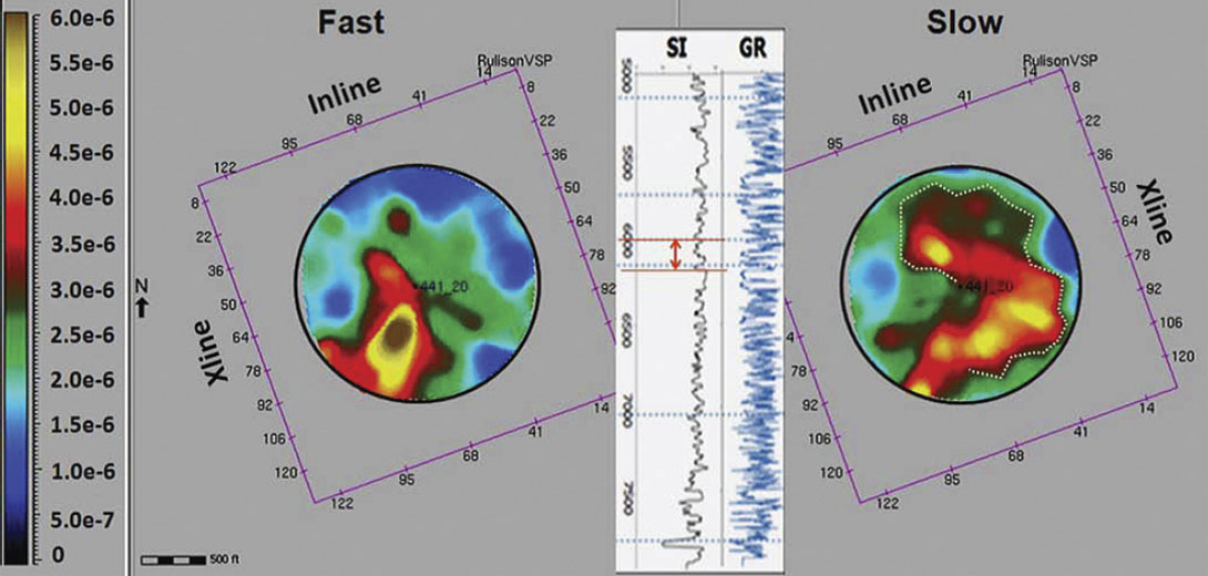 Fig. 07