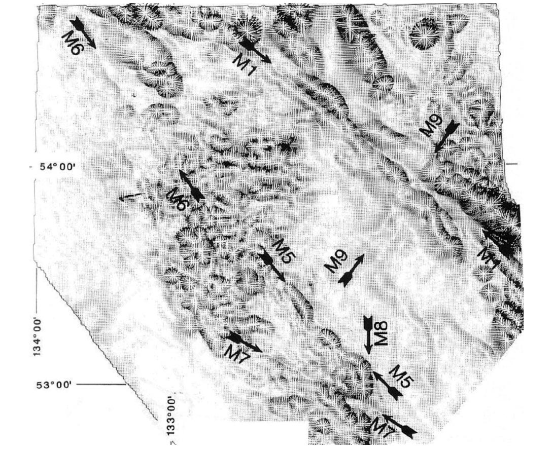 Fig. 08