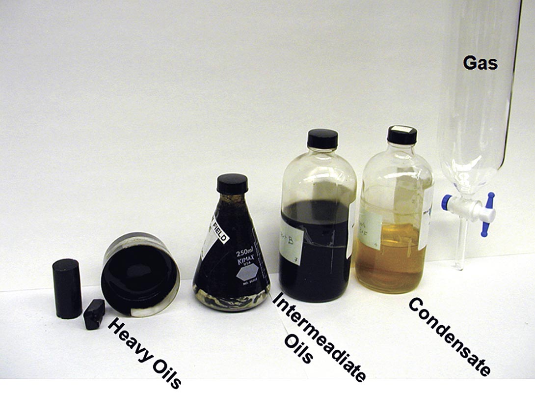 Fig. 03