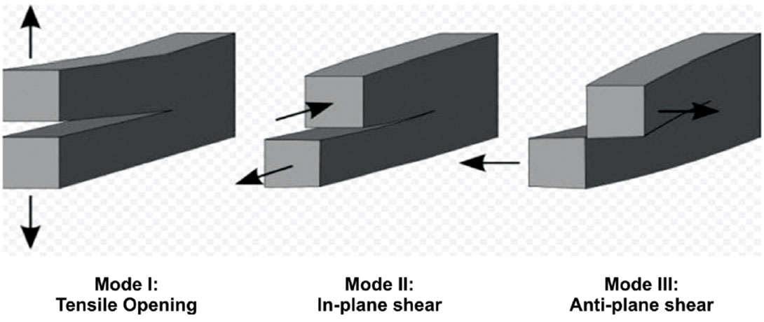 Fig. 01