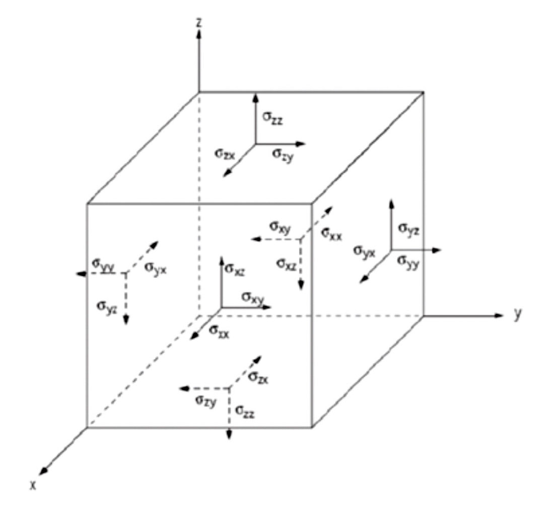 Fig. 01