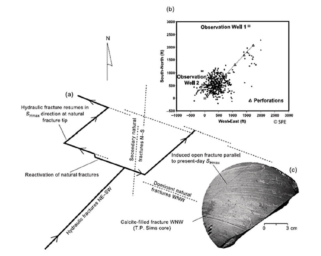 Fig. 03