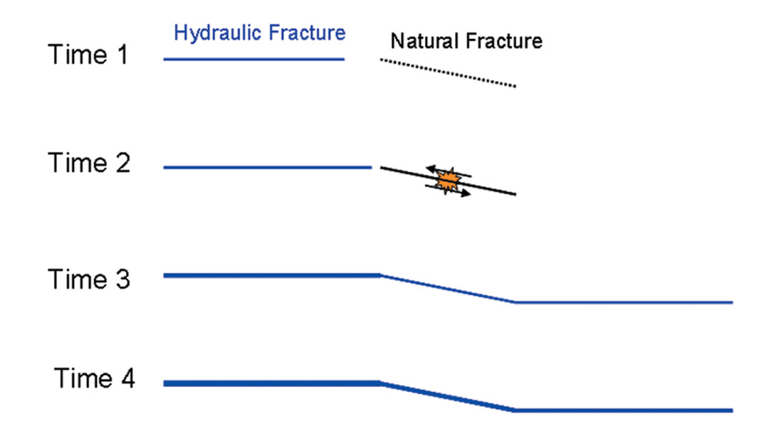 Fig. 10