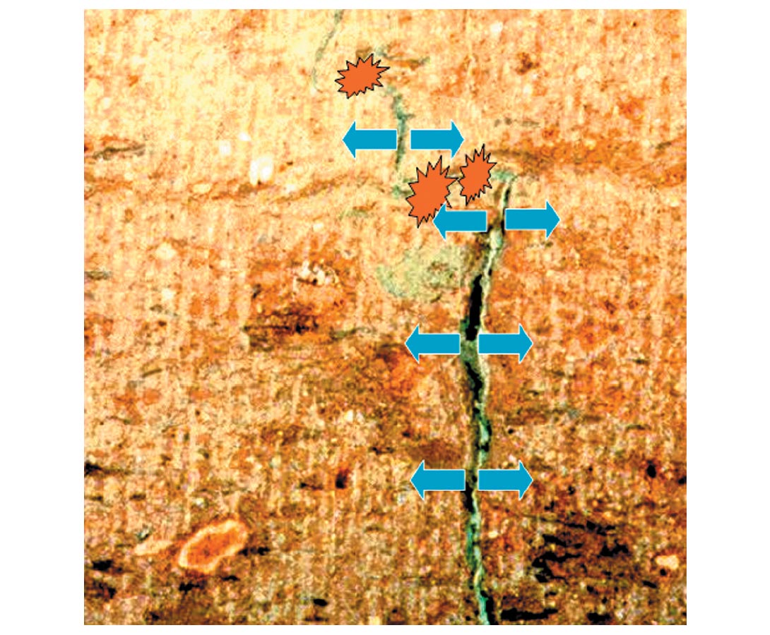 Fig. 12