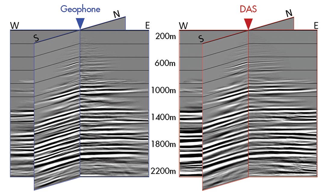 Fig. 06