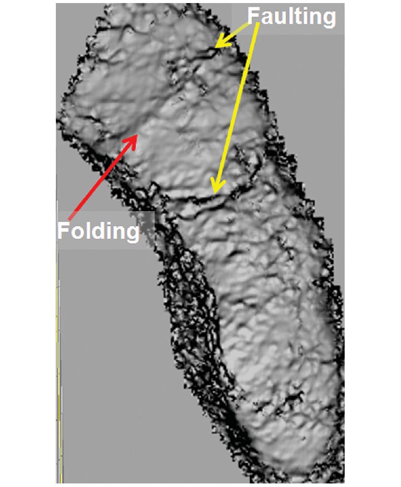 Fig. 01