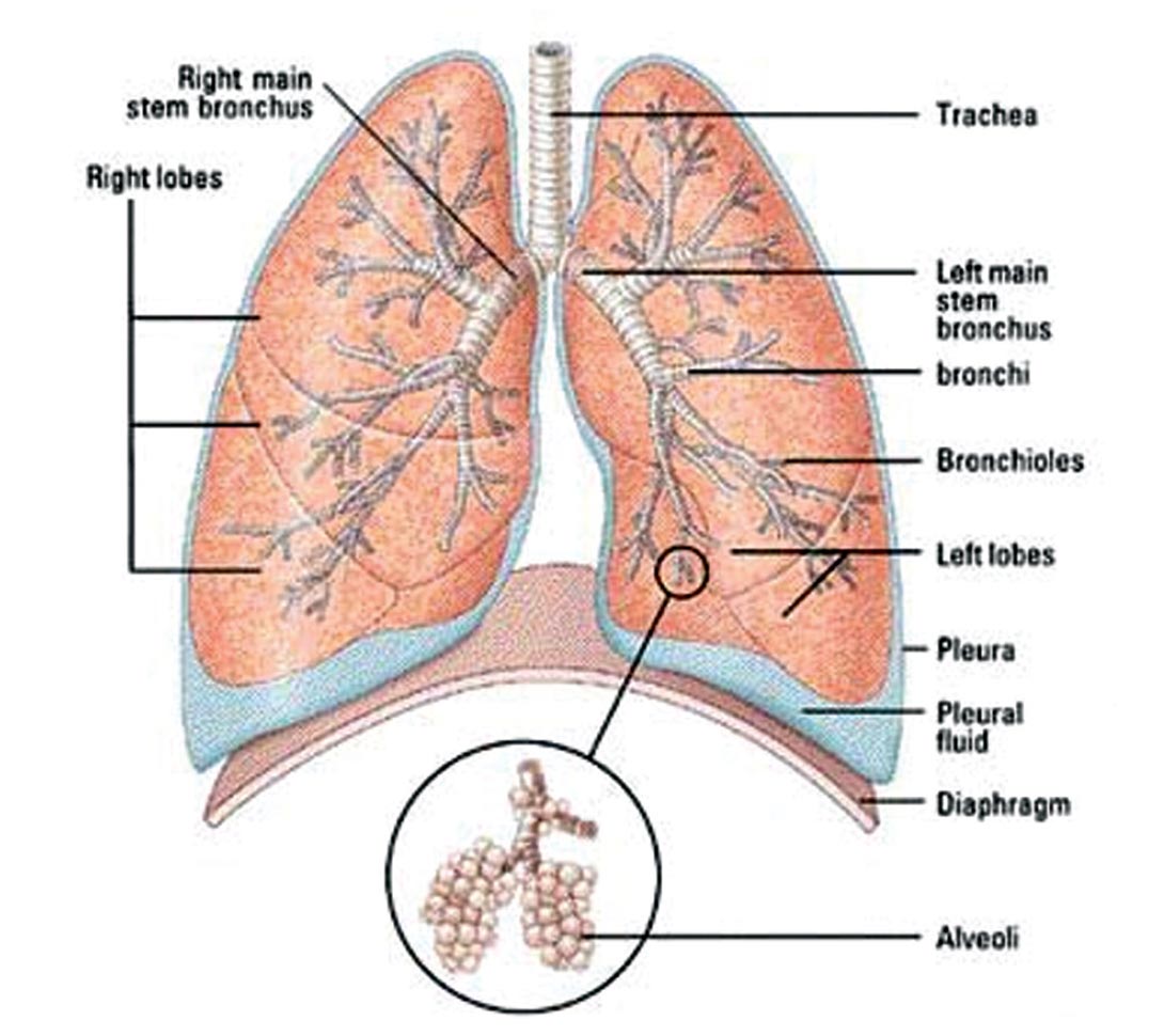 Fig. 03