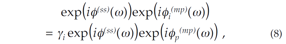 Formula 8