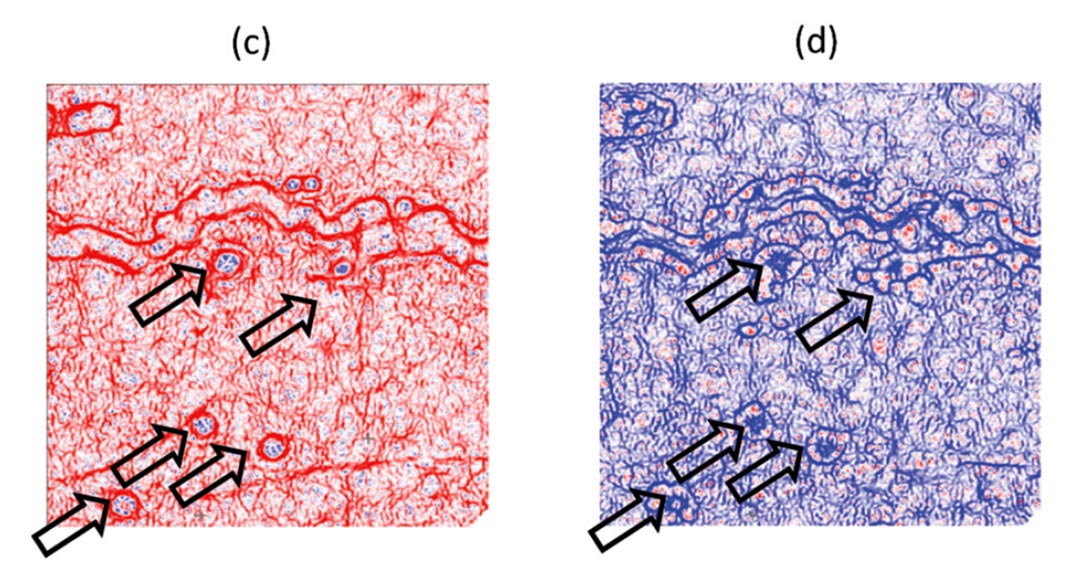 Fig. 06c, 06d