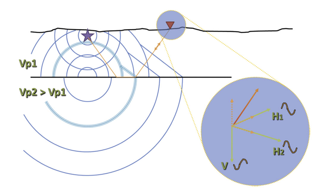 Fig. 01
