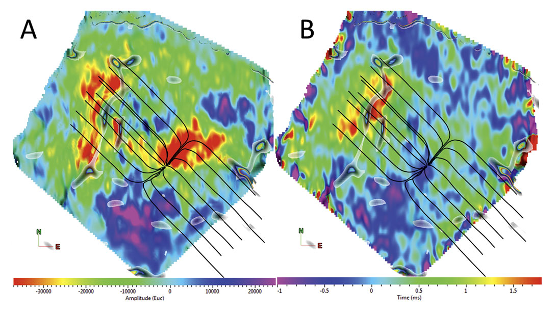 Fig. 09