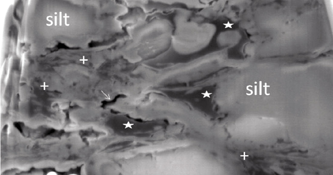 Fig. 01a