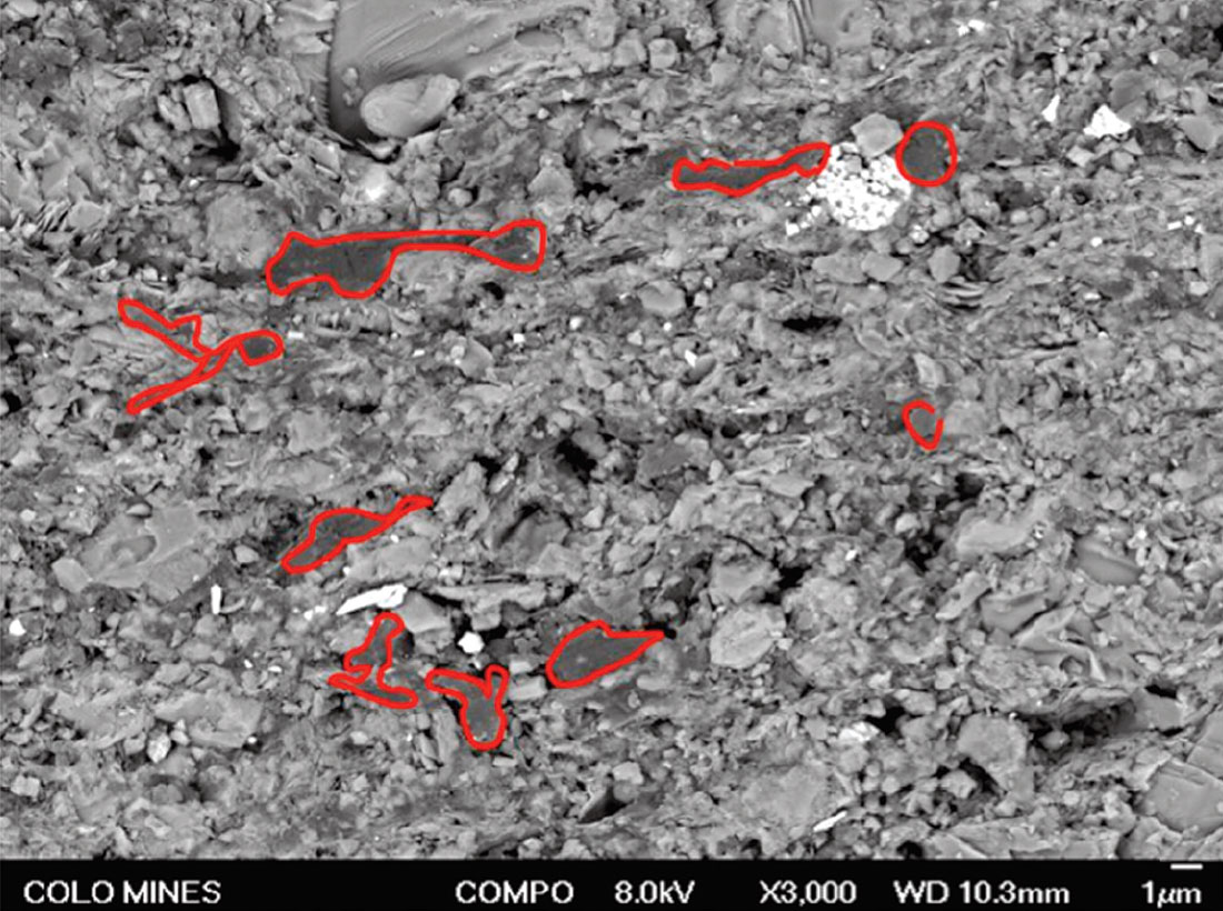 Fig. 01b