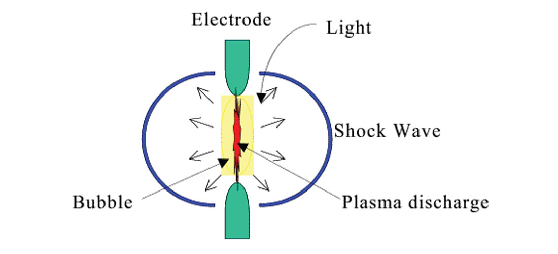 Fig. 01
