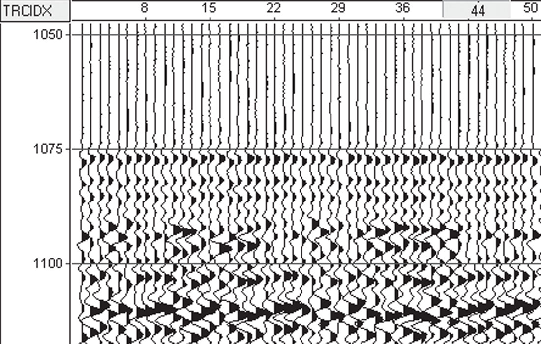 Fig. 07
