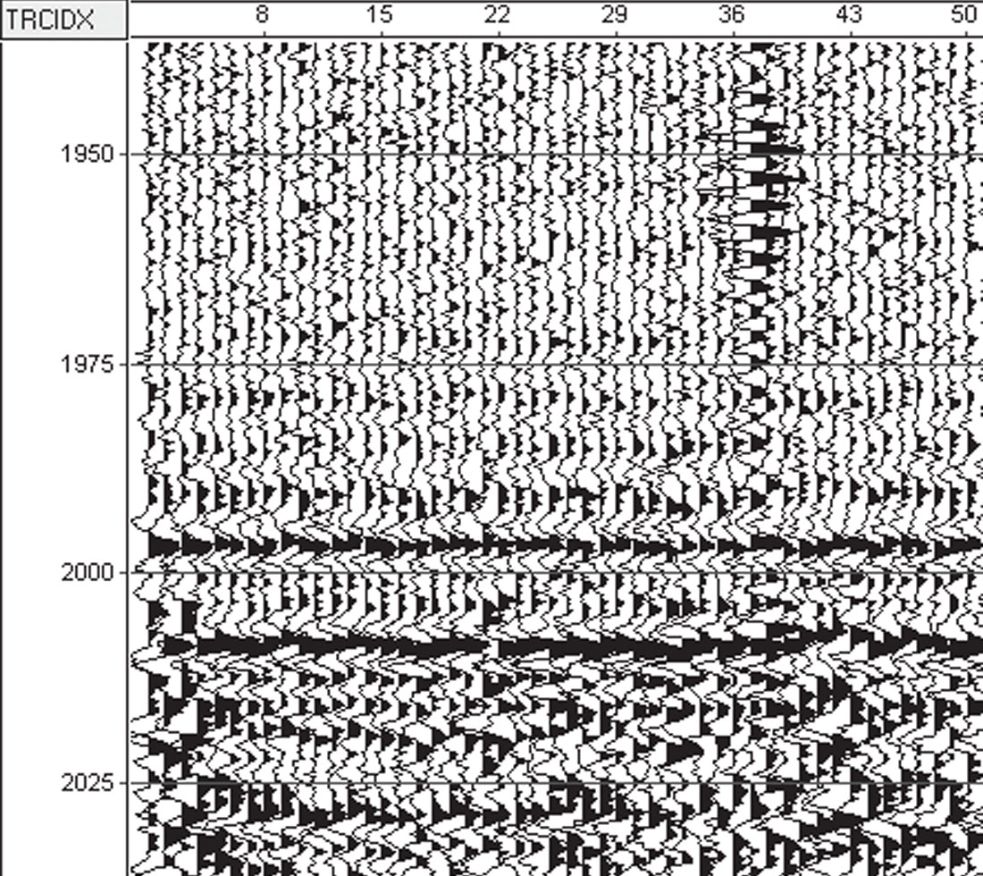 Fig. 08