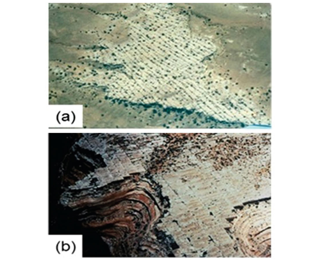 Fig. 06